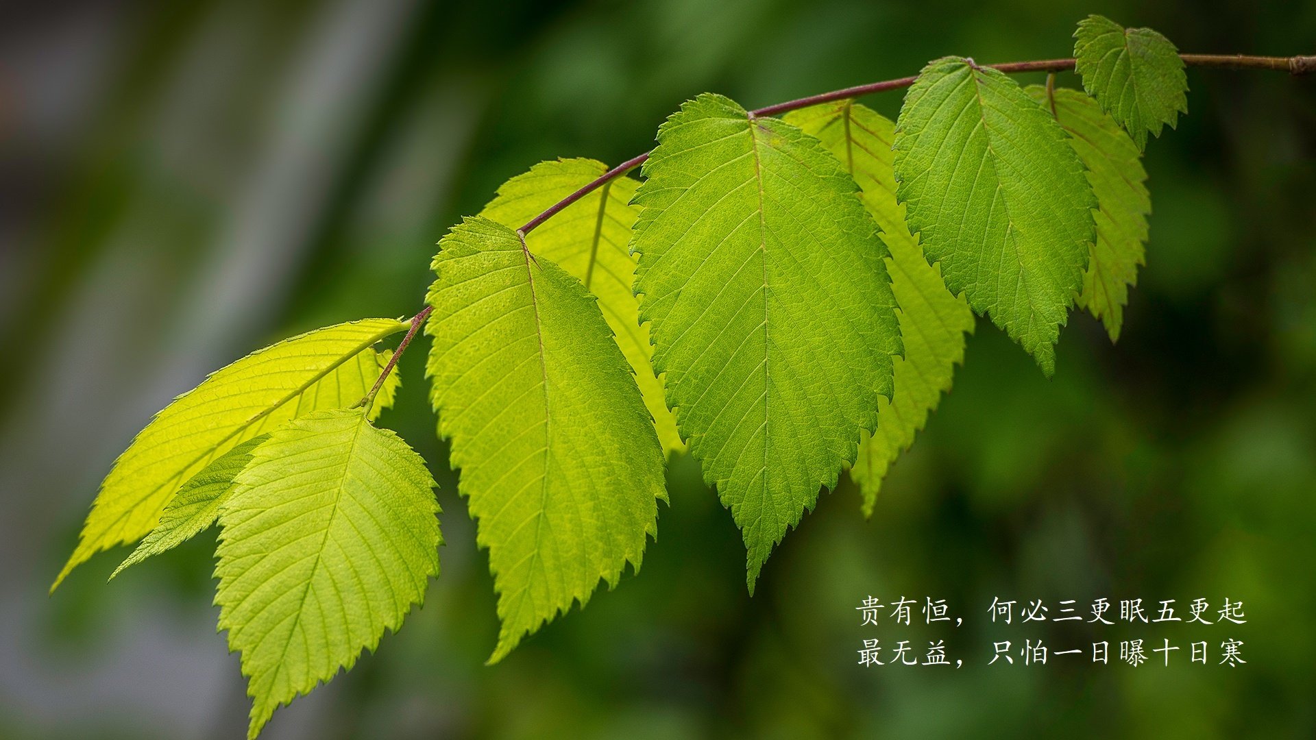 “互联网+”推动青训人人参与，行业普及率稳步提升，青训网站