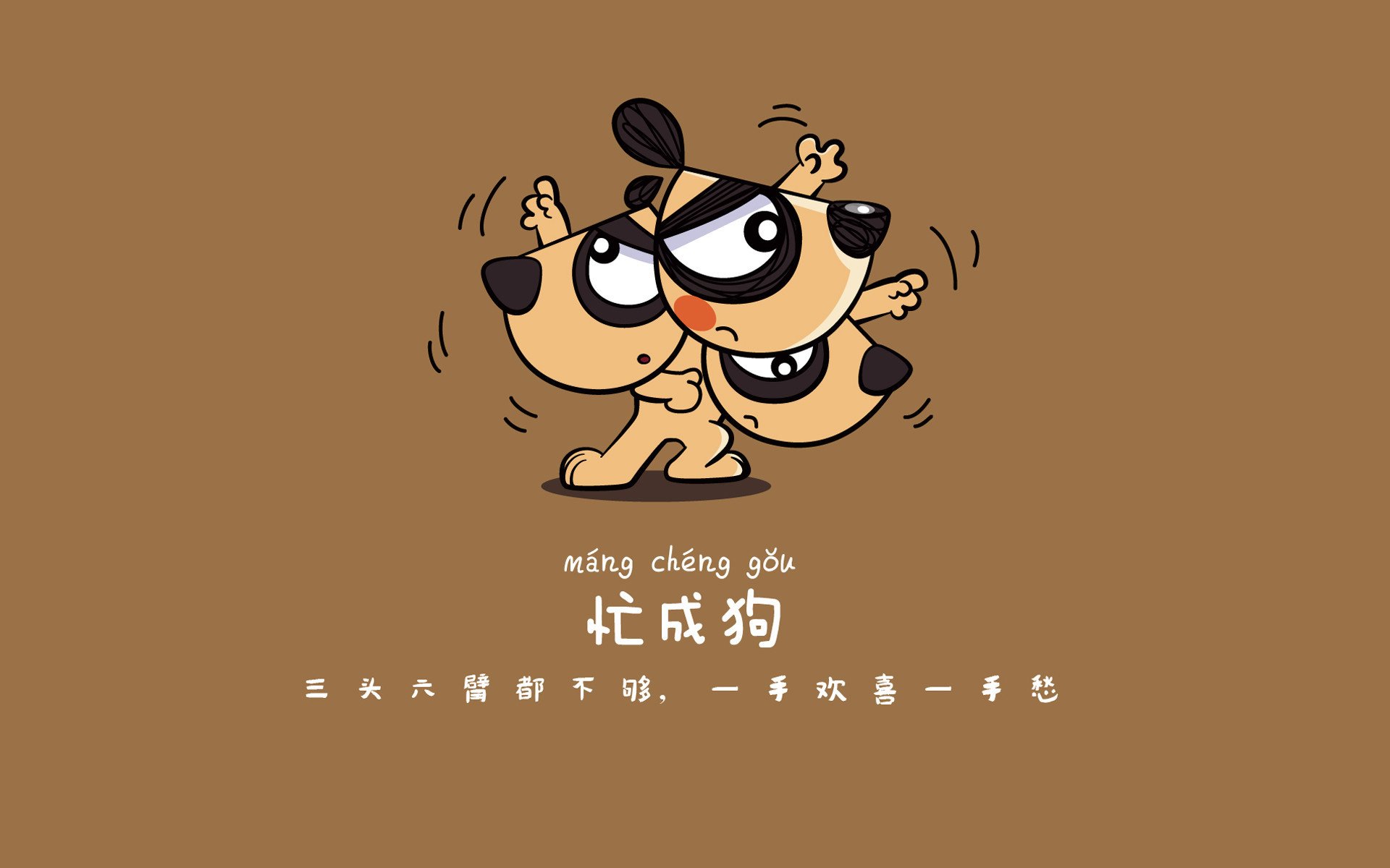 Jiuyou-摩洛哥马术协会出版“Sinjska Alka”历史专著，记录赛事发展历程。，摩洛哥的马