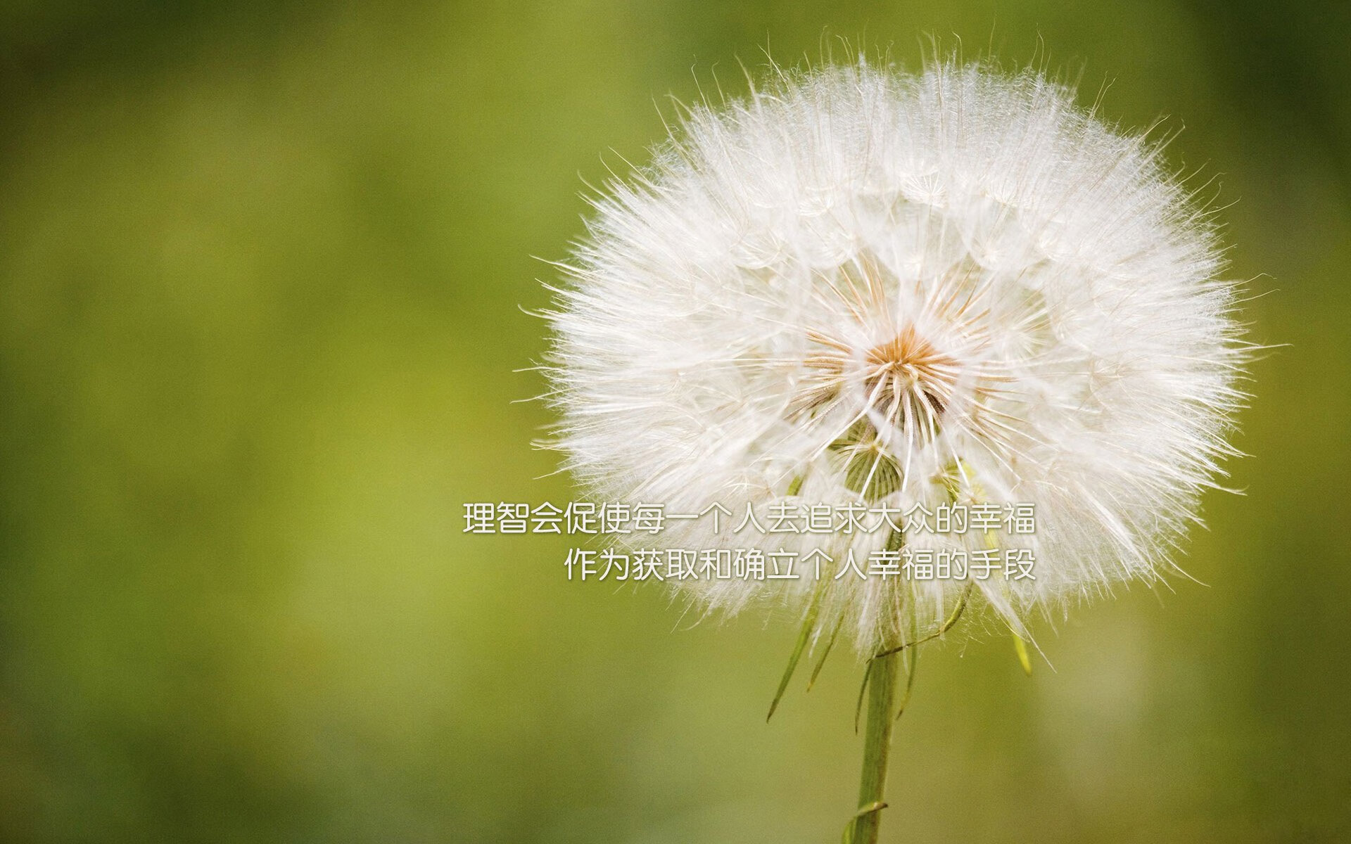 九游jiuyou-欧洲足球冠军联赛胜者已现，下轮对决备受期待，欧洲足球欧冠