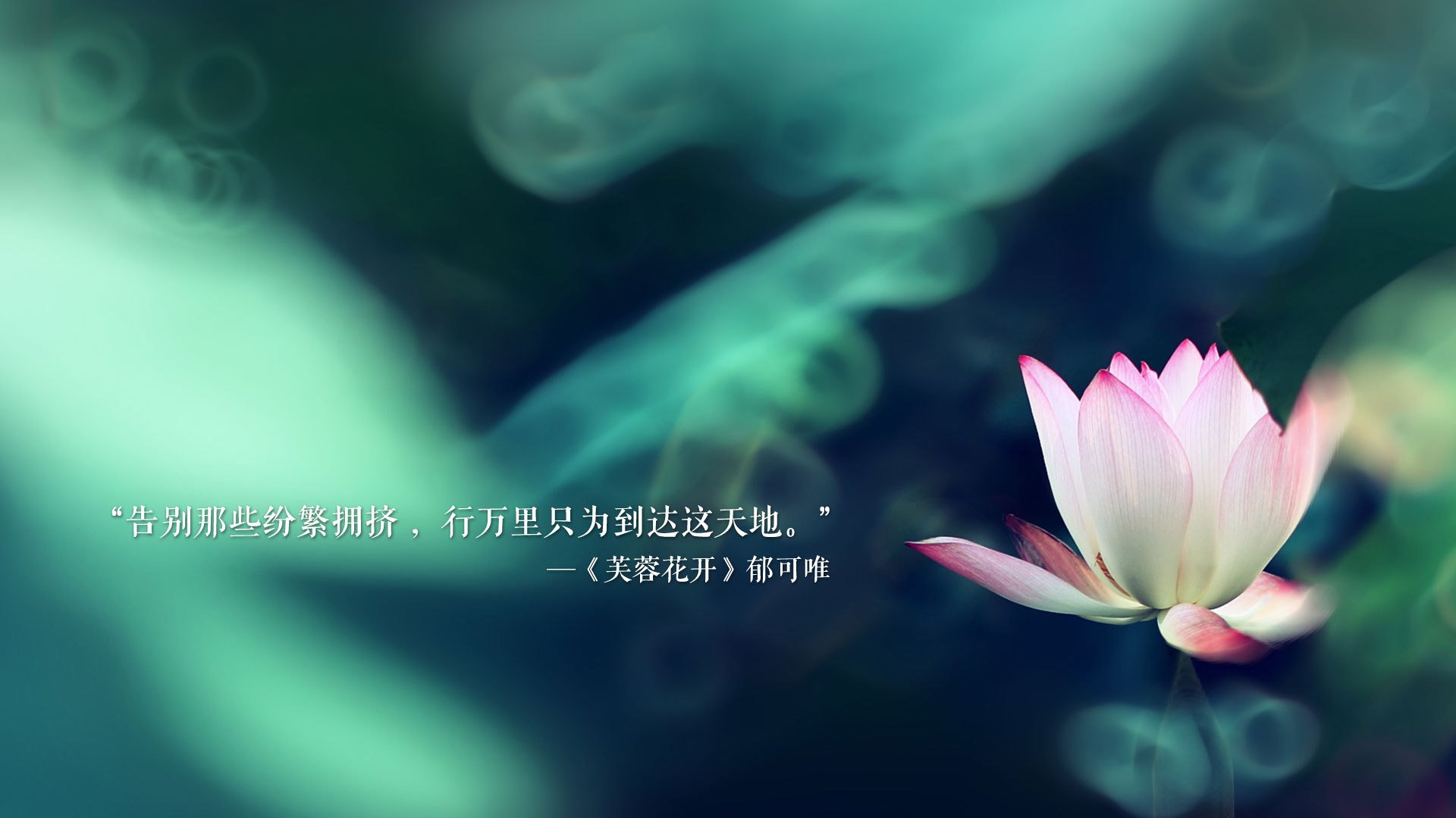 篮球专项技能训练规范体系构建，篮球专项技能训练规范体系构建方案
