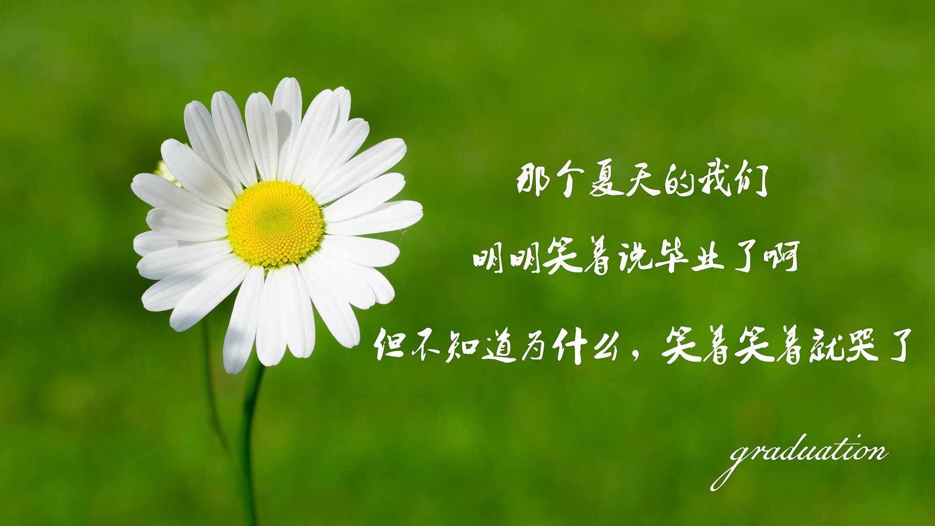 高校体育专业课程体系改革创新研究，高校体育改革发展趋势